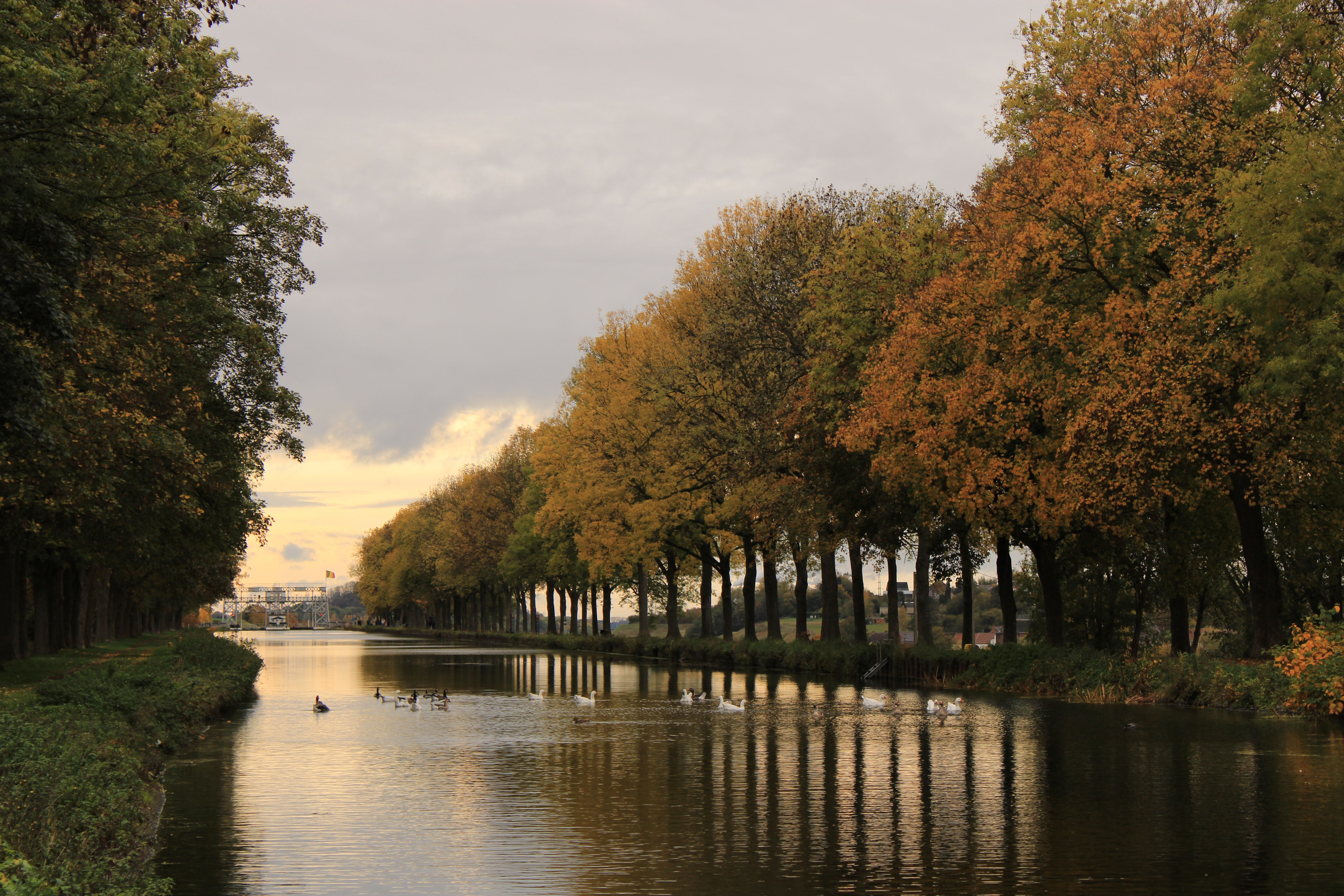 Canal de la région Centre-Hainaut